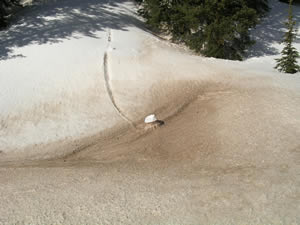 dust on snow photo gallery